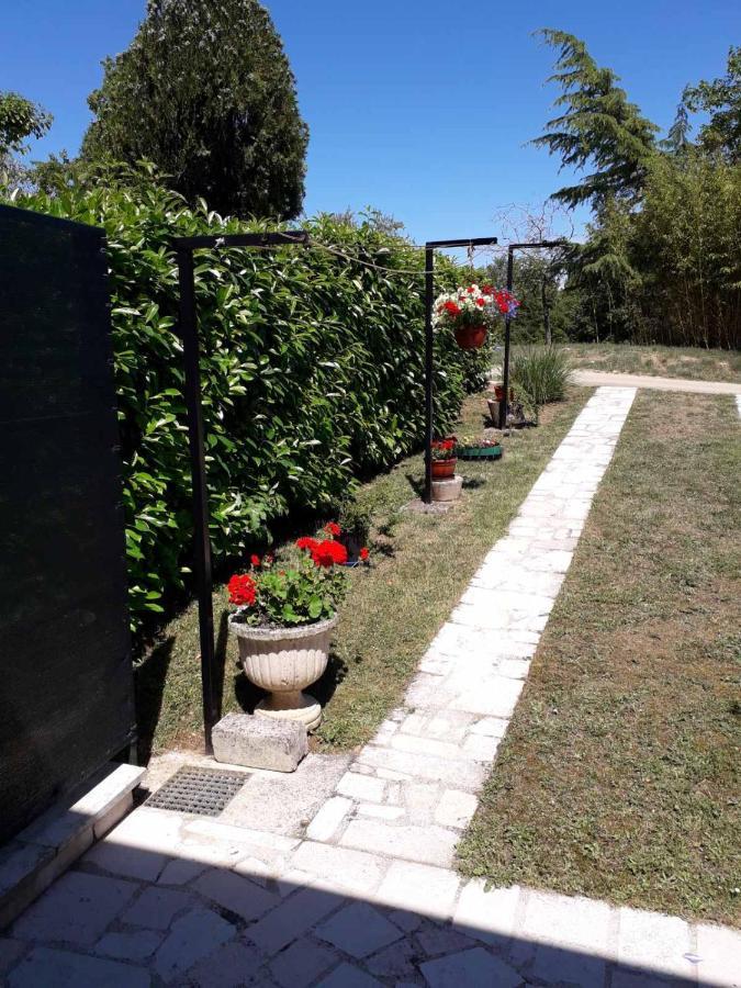 Apartment Nena- Apartman Sa Posebnim Ulazom U Prizemlju, Terasom I Zelenom Okucnicom Rakotule Εξωτερικό φωτογραφία